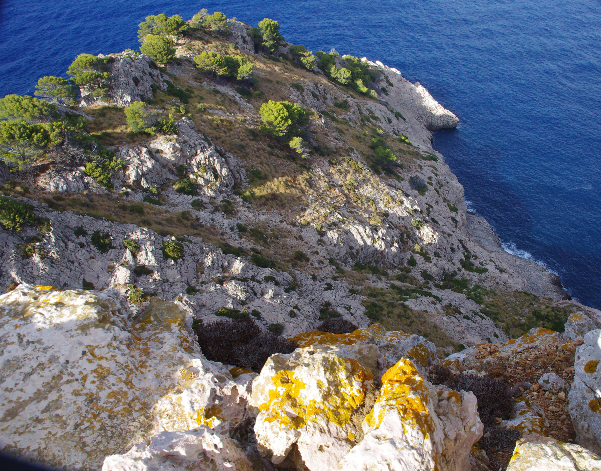 Sigma Lens (3 255) sample photo. Rocky coast in mallorca photography