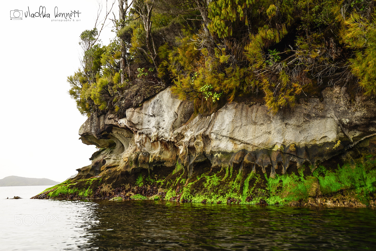 Sony a7S + Sony Vario-Tessar T* FE 16-35mm F4 ZA OSS sample photo. Stewart island discovery cruise photography