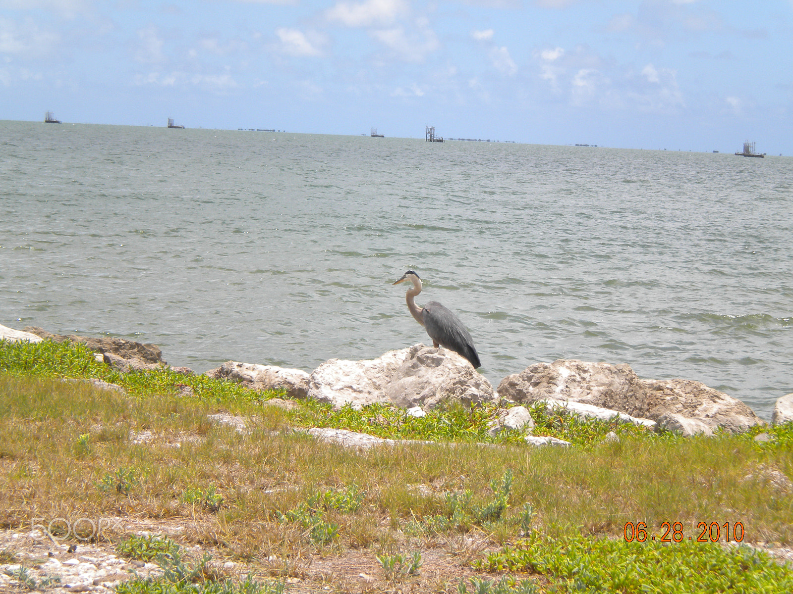 Nikon Coolpix S230 sample photo. Fulton beach rd, texas photography
