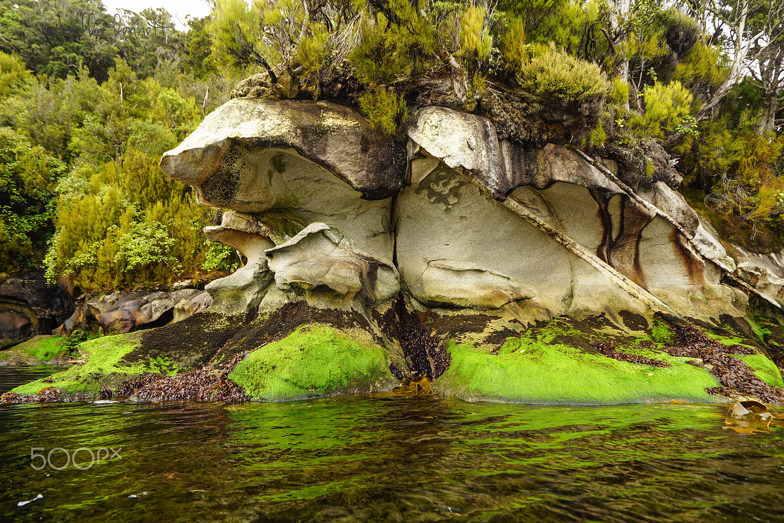 Sony a7S + Sony Vario-Tessar T* FE 16-35mm F4 ZA OSS sample photo. Stewart island discovery cruise photography