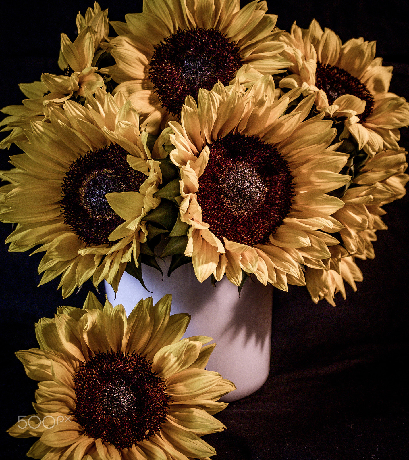 Canon EF-S 18-55mm F3.5-5.6 II sample photo. Sunflowers photography