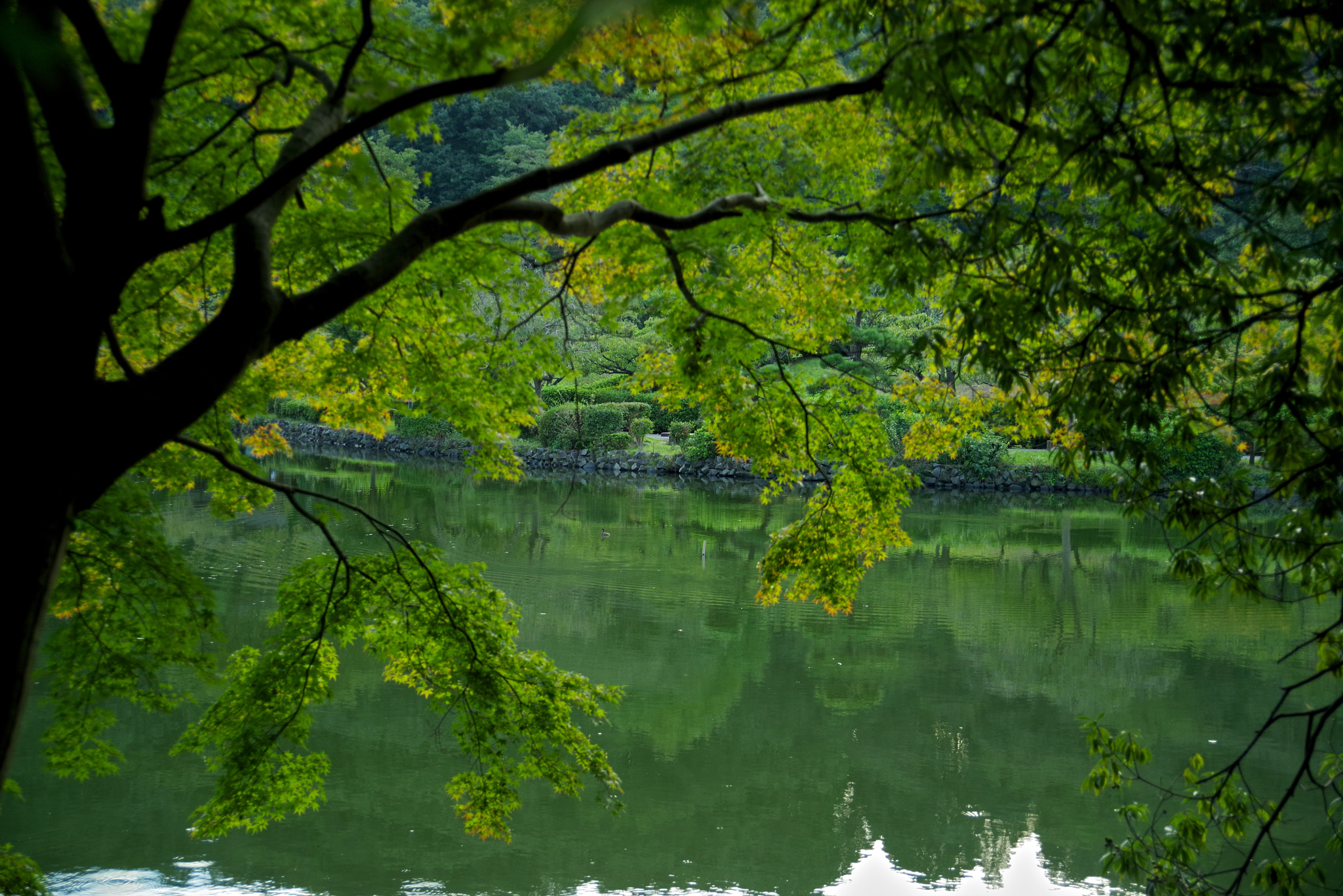 smc PENTAX-FA 28-105mm F4-5.6 [IF] sample photo. Beginnings of autumn photography