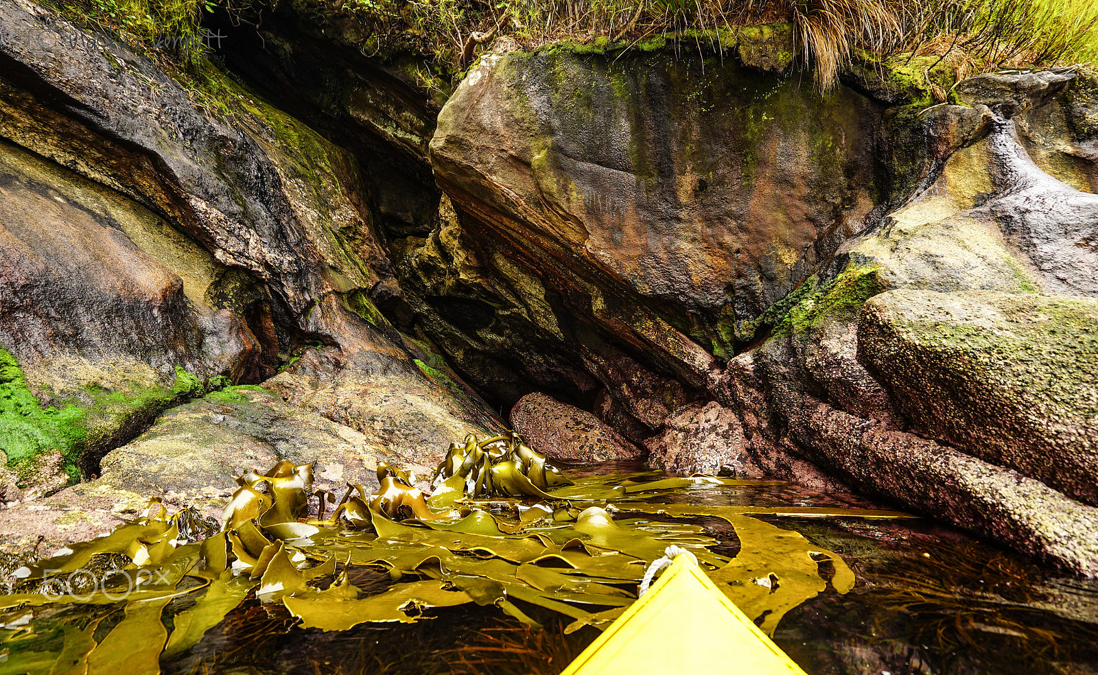 Sony a7S + Sony Vario-Tessar T* FE 16-35mm F4 ZA OSS sample photo. Stewart island discovery cruise photography