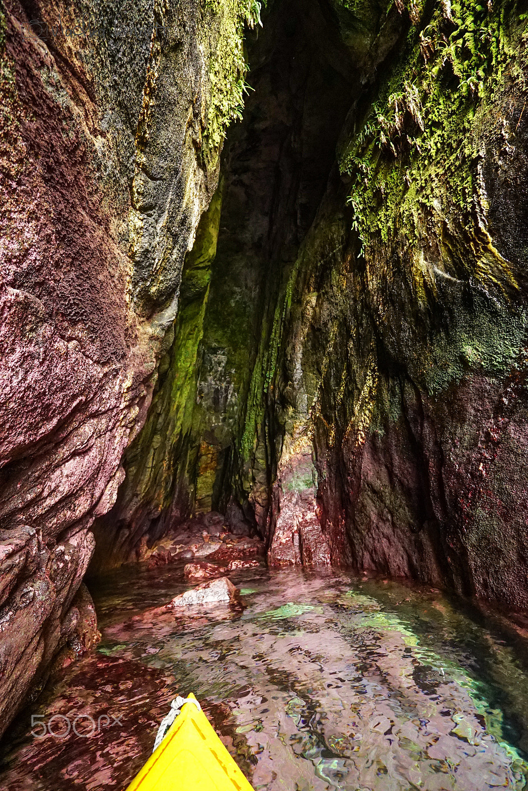 Sony a7S + Sony Vario-Tessar T* FE 16-35mm F4 ZA OSS sample photo. Stewart island discovery cruise photography