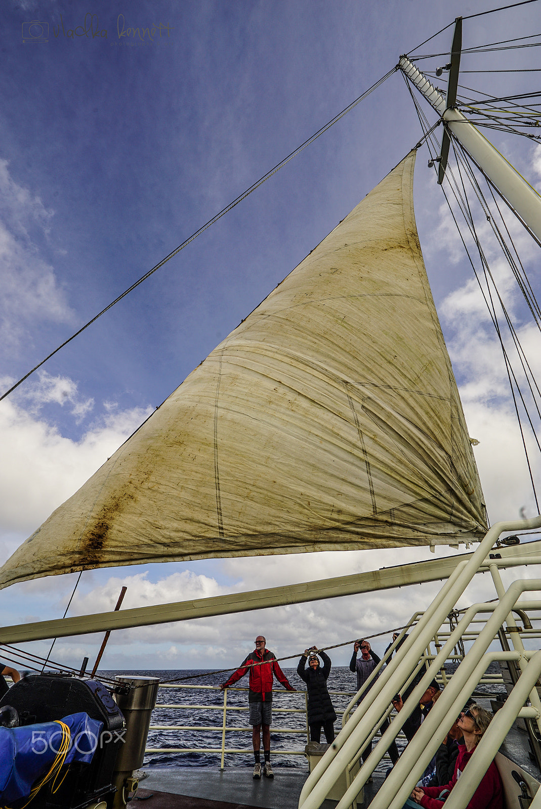 Sony a7S + Sony Vario-Tessar T* FE 16-35mm F4 ZA OSS sample photo. Stewart island discovery cruise photography