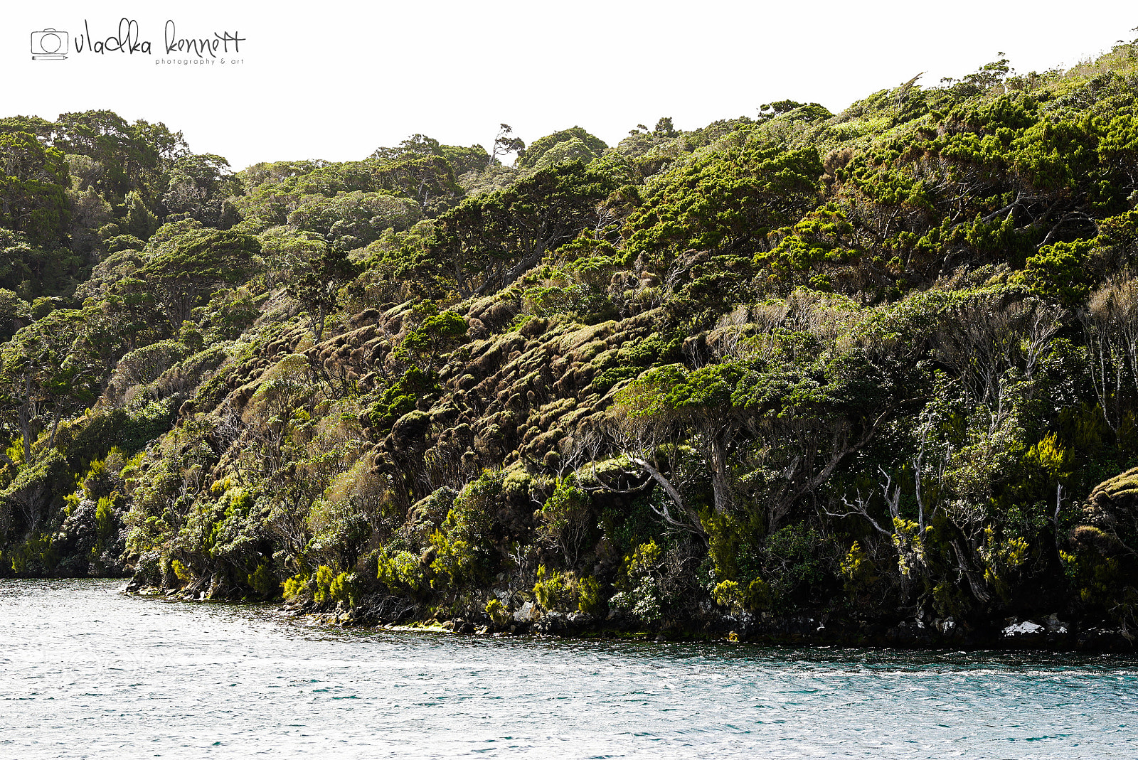 Sony a7S + Sony FE 70-200mm F4 G OSS sample photo. Stewart island discovery cruise photography