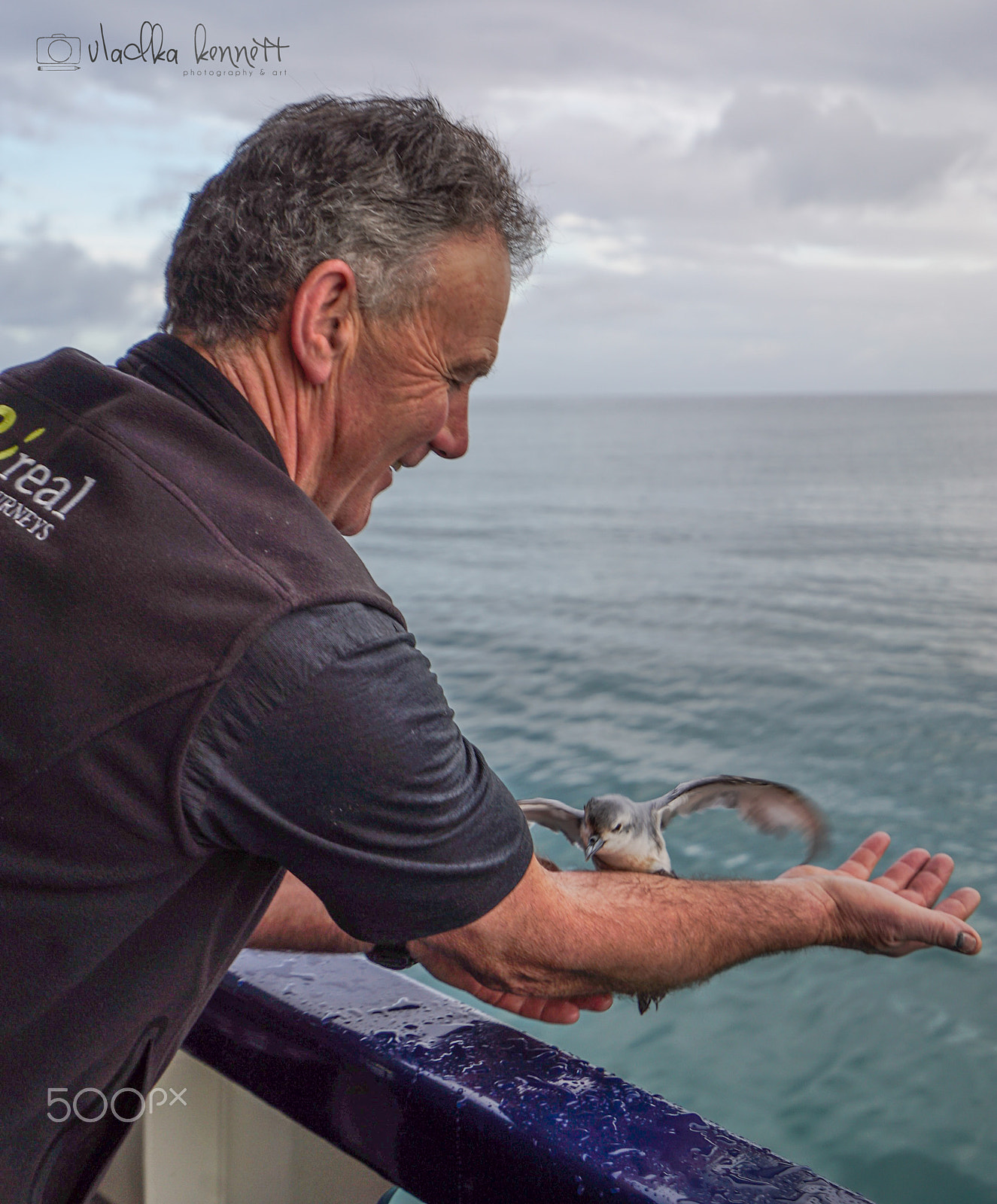 Sony a7S + Sony Vario-Tessar T* FE 16-35mm F4 ZA OSS sample photo. Stewart island discovery cruise photography