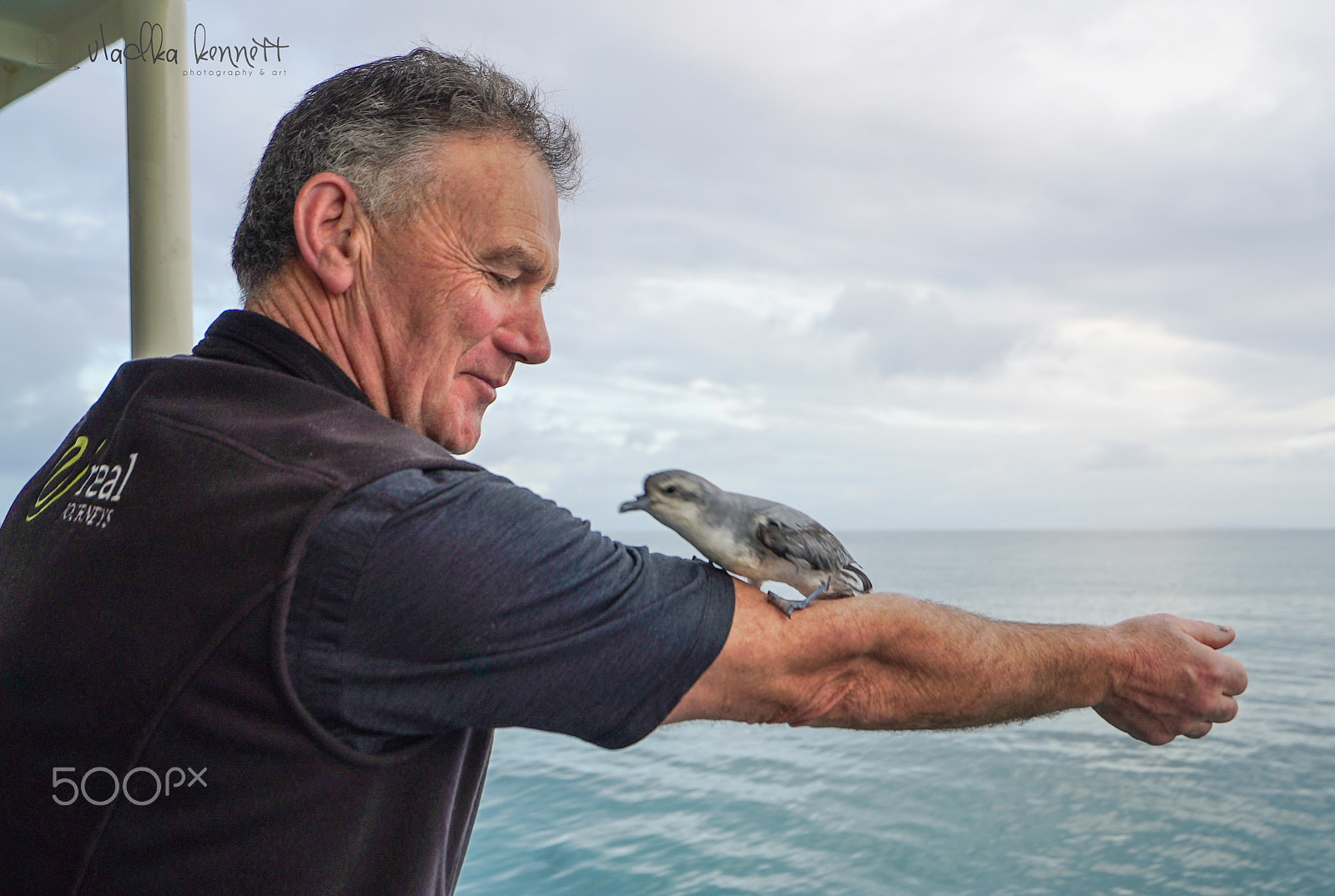 Sony a7S + Sony Vario-Tessar T* FE 16-35mm F4 ZA OSS sample photo. Stewart island discovery cruise photography