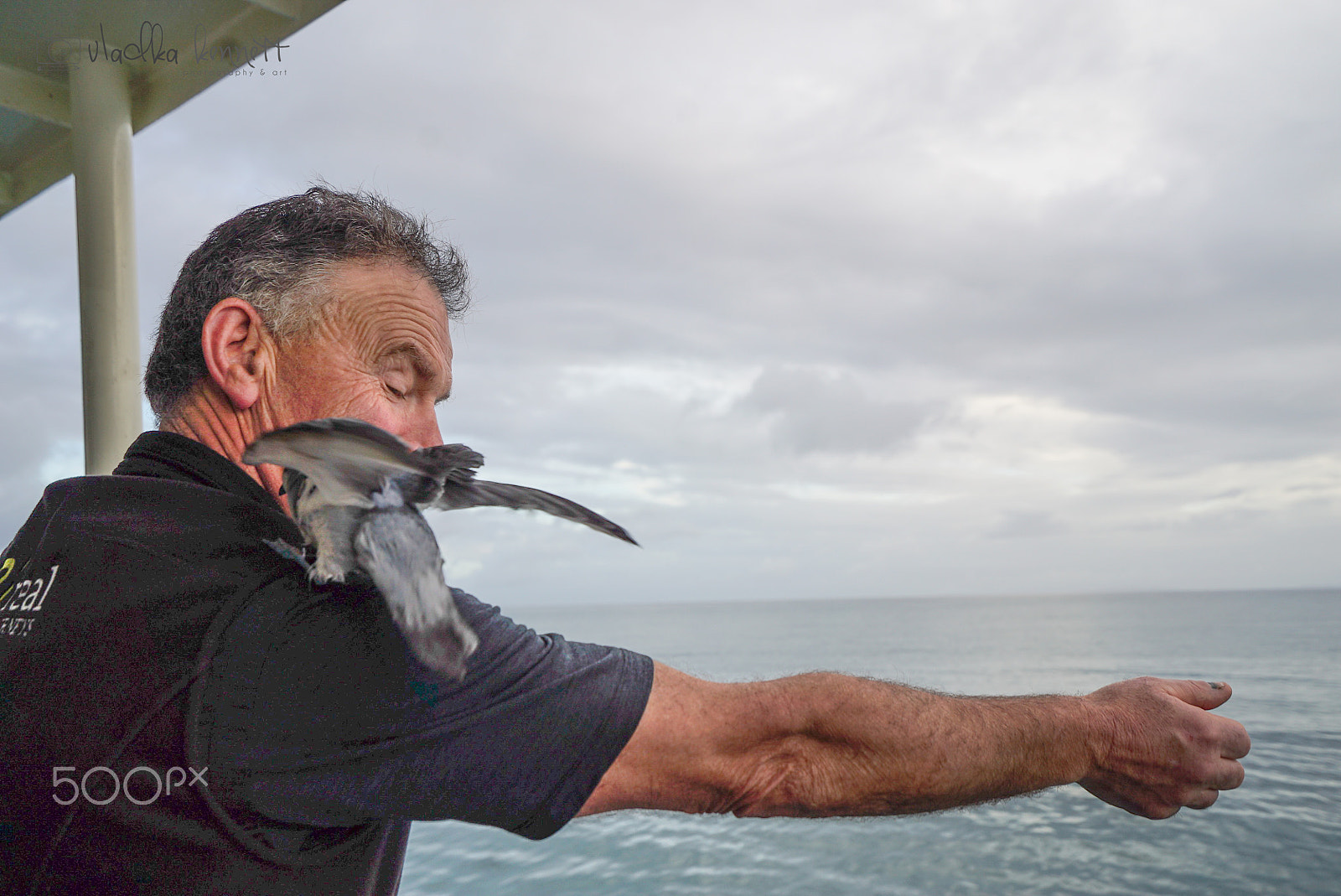 Sony a7S + Sony Vario-Tessar T* FE 16-35mm F4 ZA OSS sample photo. Stewart island discovery cruise photography