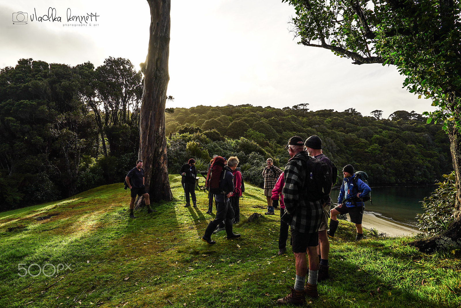 Sony a7S + Sony Vario-Tessar T* FE 16-35mm F4 ZA OSS sample photo. Stewart island discovery cruise photography