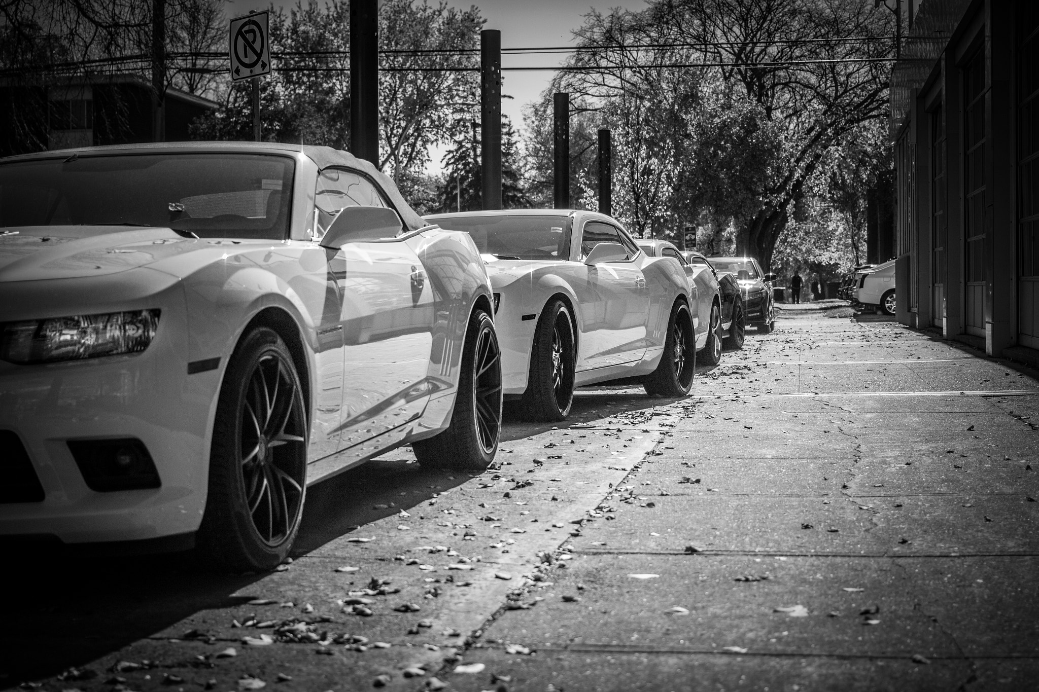 Canon EOS 650D (EOS Rebel T4i / EOS Kiss X6i) + Canon EF 40mm F2.8 STM sample photo. Camaros lined up photography