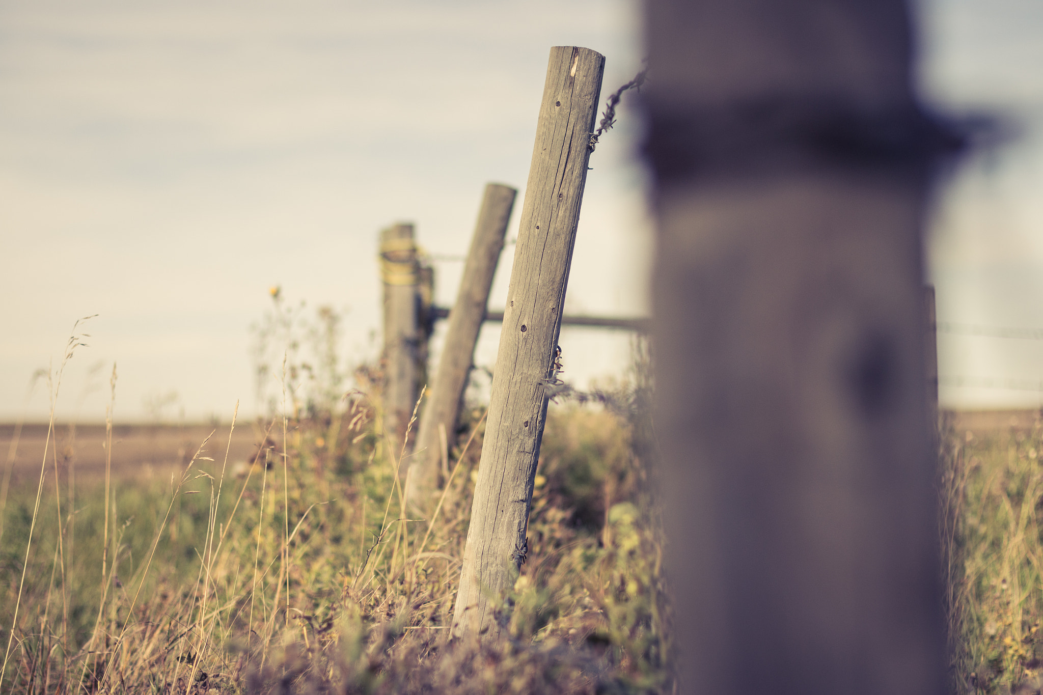 Canon EOS 650D (EOS Rebel T4i / EOS Kiss X6i) sample photo. Old time fence photography