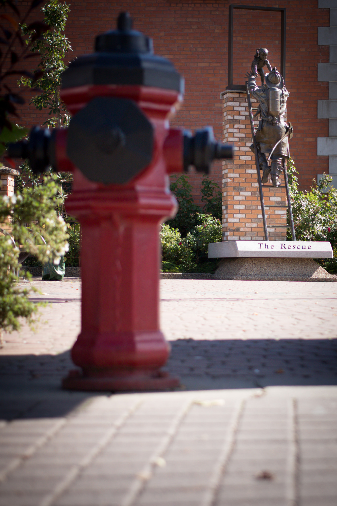 Canon EF 40mm F2.8 STM sample photo. The rescue iii photography