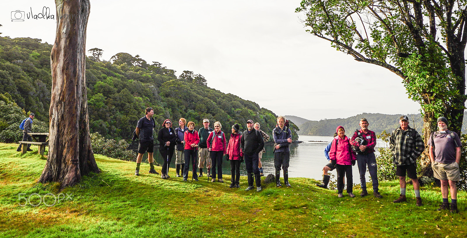 Sony a7S + Sony Vario-Tessar T* FE 16-35mm F4 ZA OSS sample photo. Stewart island discovery cruise photography