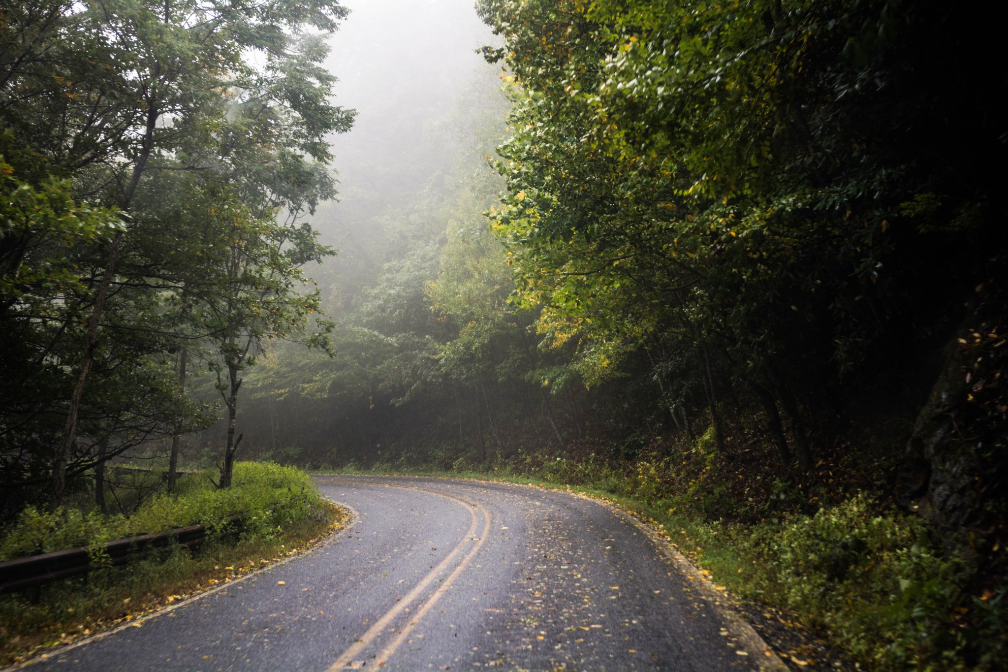 Nikon D5200 sample photo. Fog on the roads photography