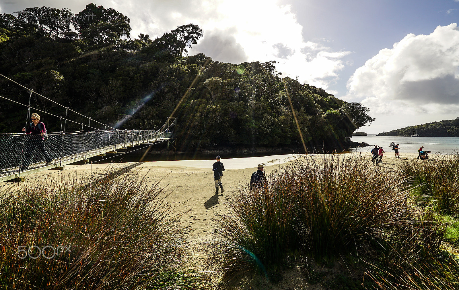 Sony a7S + Sony Vario-Tessar T* FE 16-35mm F4 ZA OSS sample photo. Stewart island discovery cruise photography