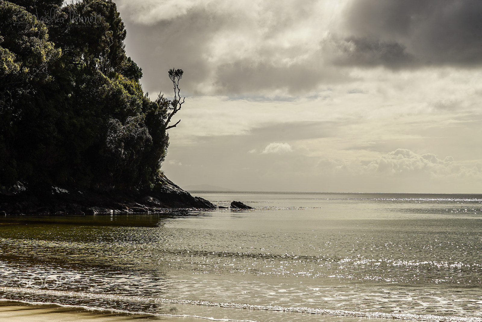 Sony a7S + Sony FE 70-200mm F4 G OSS sample photo. Stewart island discovery cruise photography