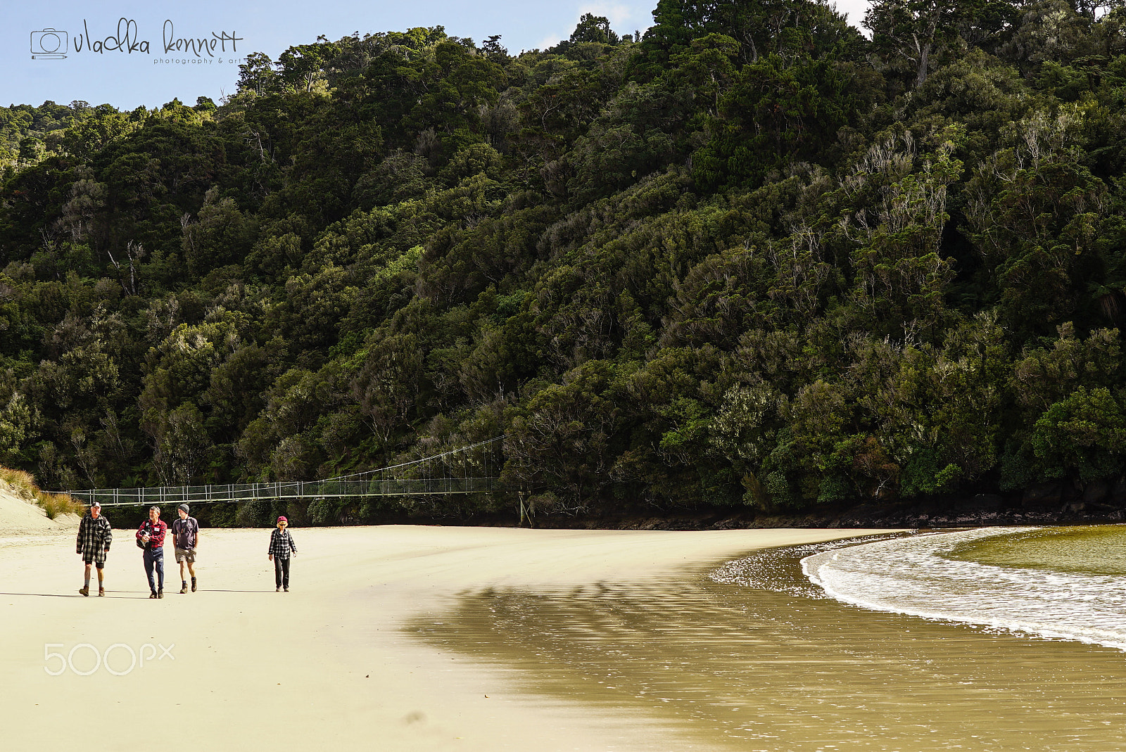 Sony a7S + Sony FE 70-200mm F4 G OSS sample photo. Stewart island discovery cruise photography