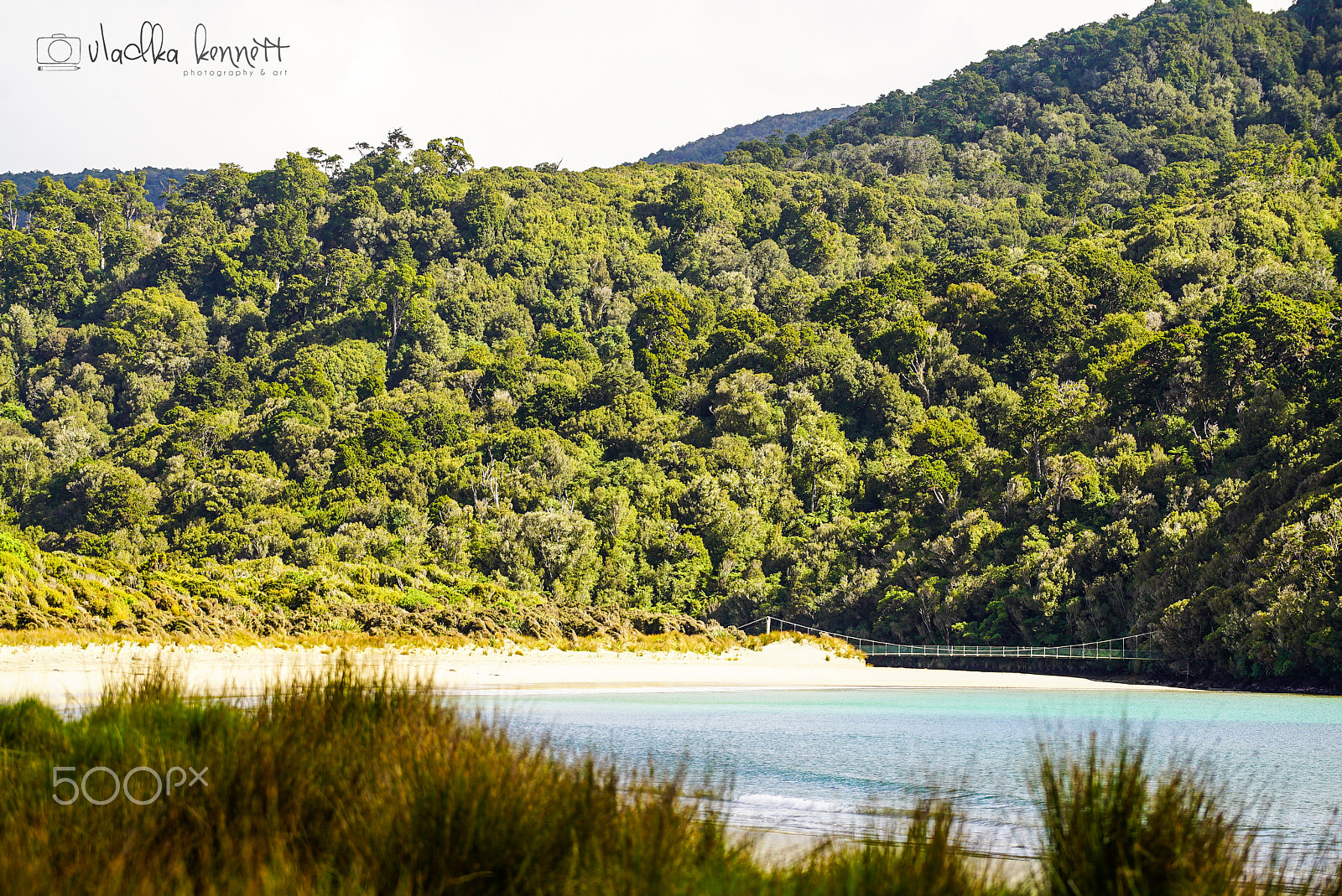 Sony a7S + Sony FE 70-200mm F4 G OSS sample photo. Stewart island discovery cruise photography