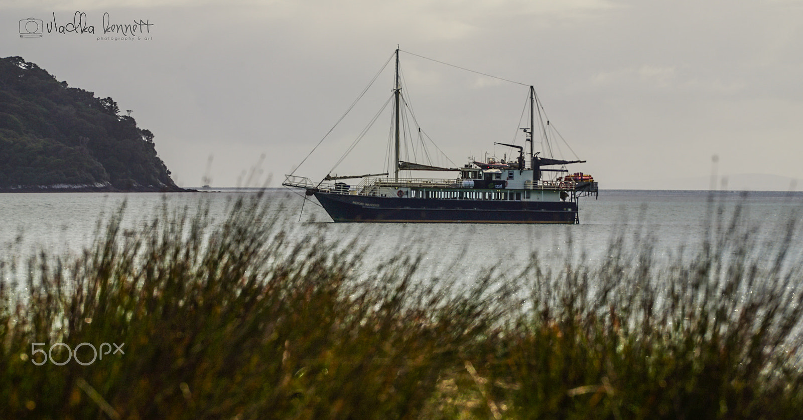 Sony a7S + Sony FE 70-200mm F4 G OSS sample photo. Stewart island discovery cruise photography