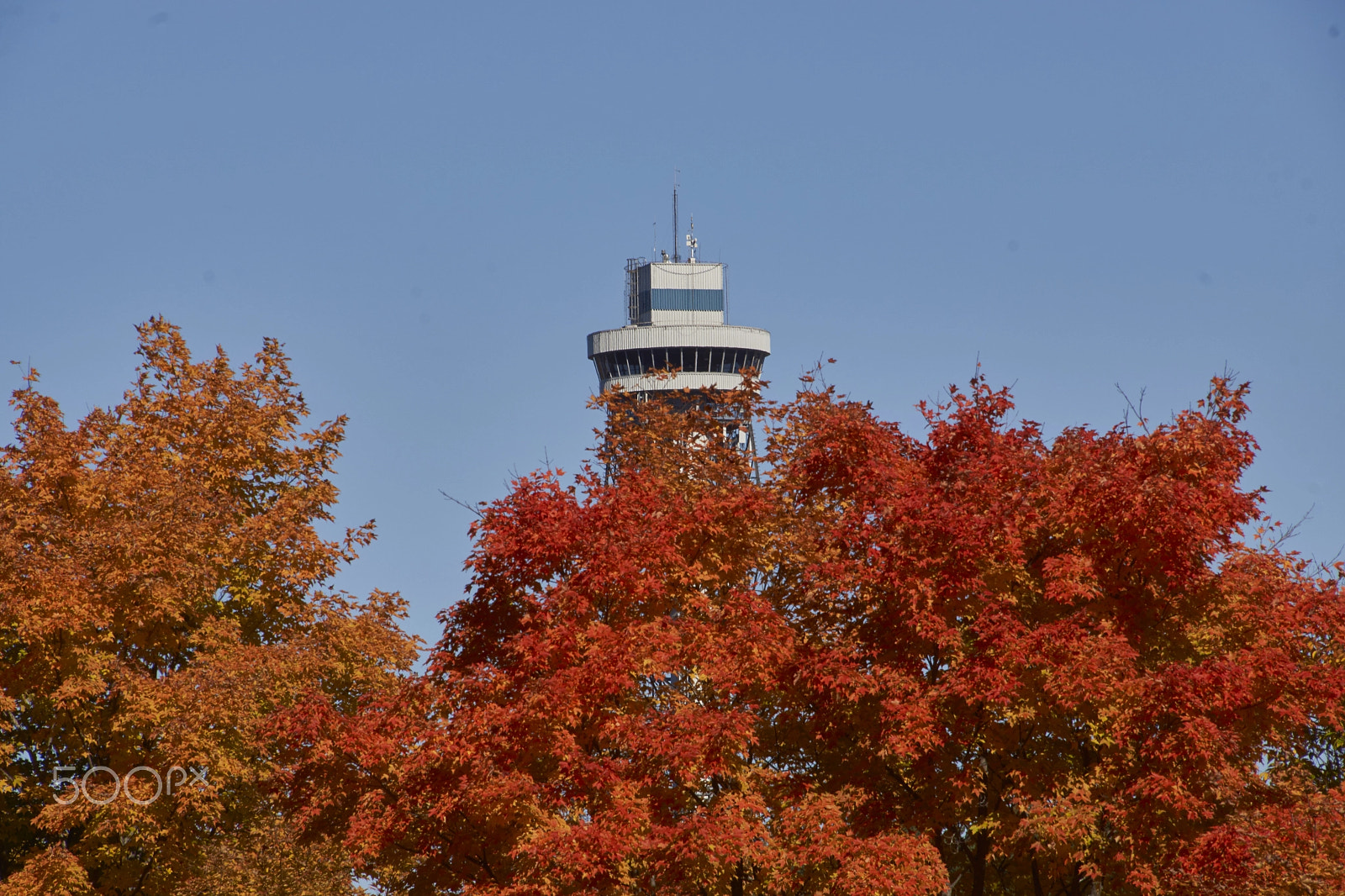 Sony SLT-A65 (SLT-A65V) + DT 18-270mm F3.5-6.3 SSM sample photo. La tour de shawinigan en automne photography