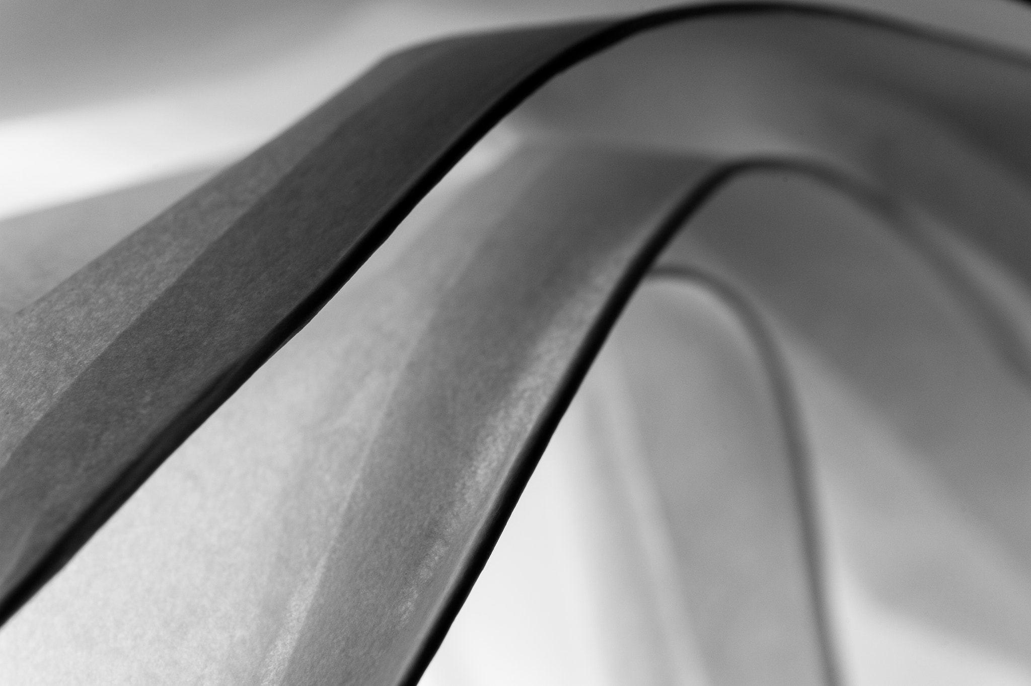 Sigma 150mm F2.8 EX DG Macro HSM sample photo. Shades of grey photography