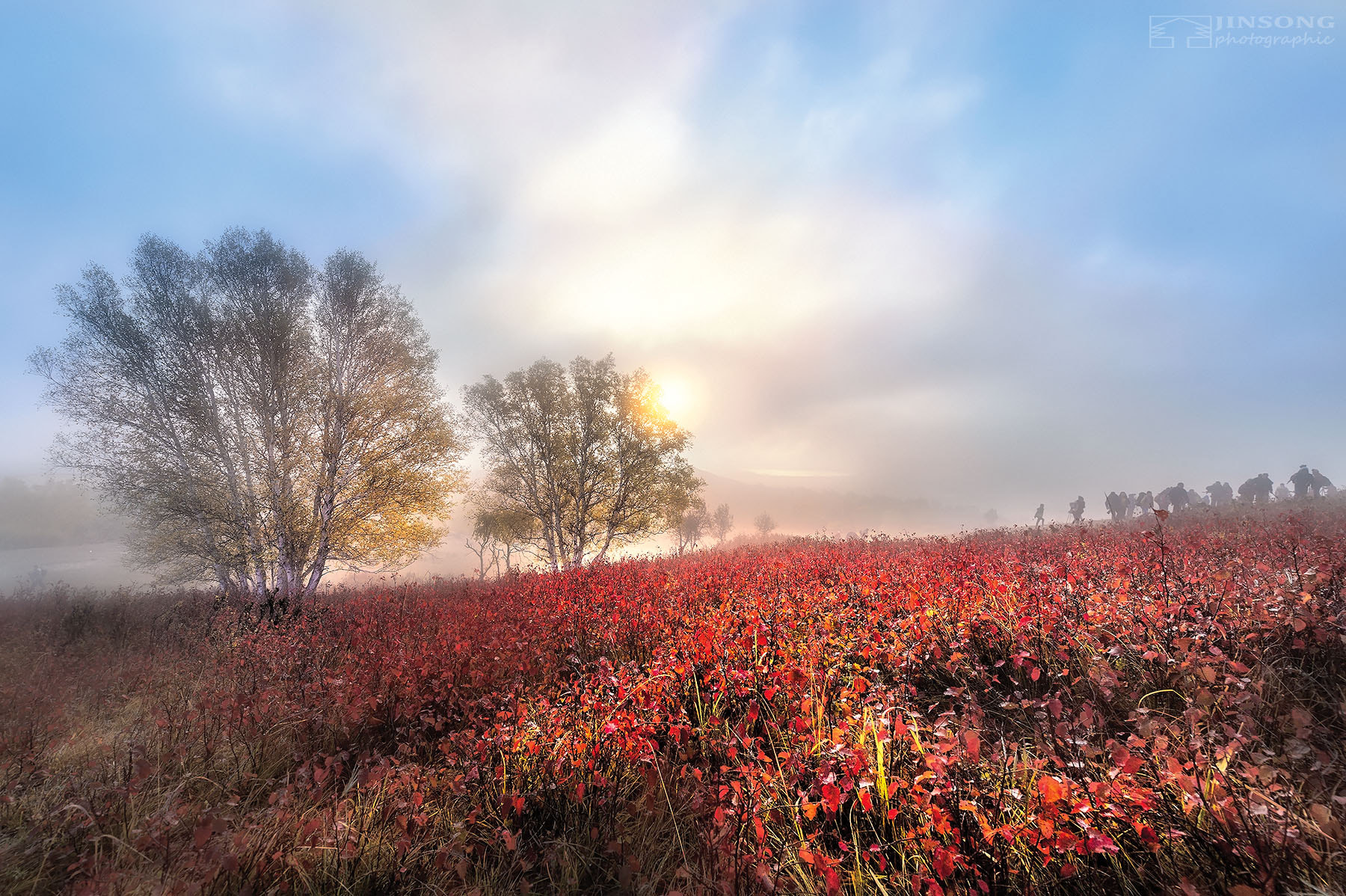 Nikon Df sample photo. 秋日晨曦 photography