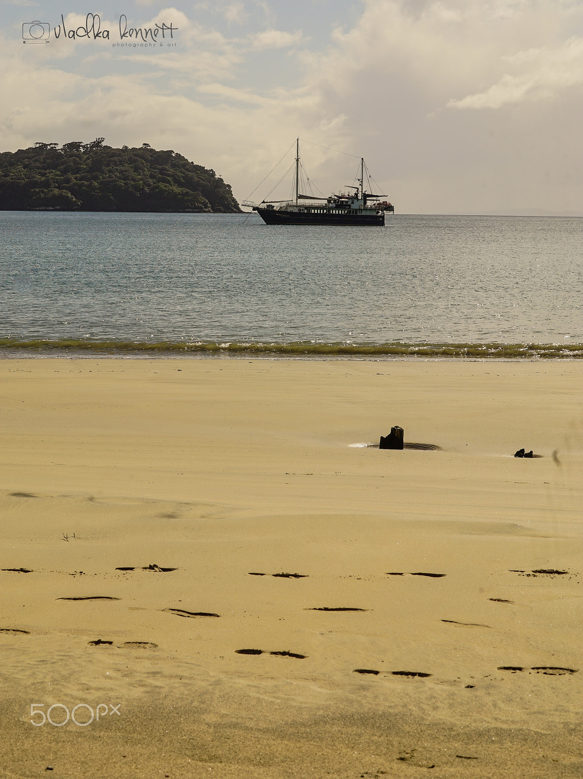 Sony a7S + Sony FE 70-200mm F4 G OSS sample photo. Stewart island discovery cruise photography