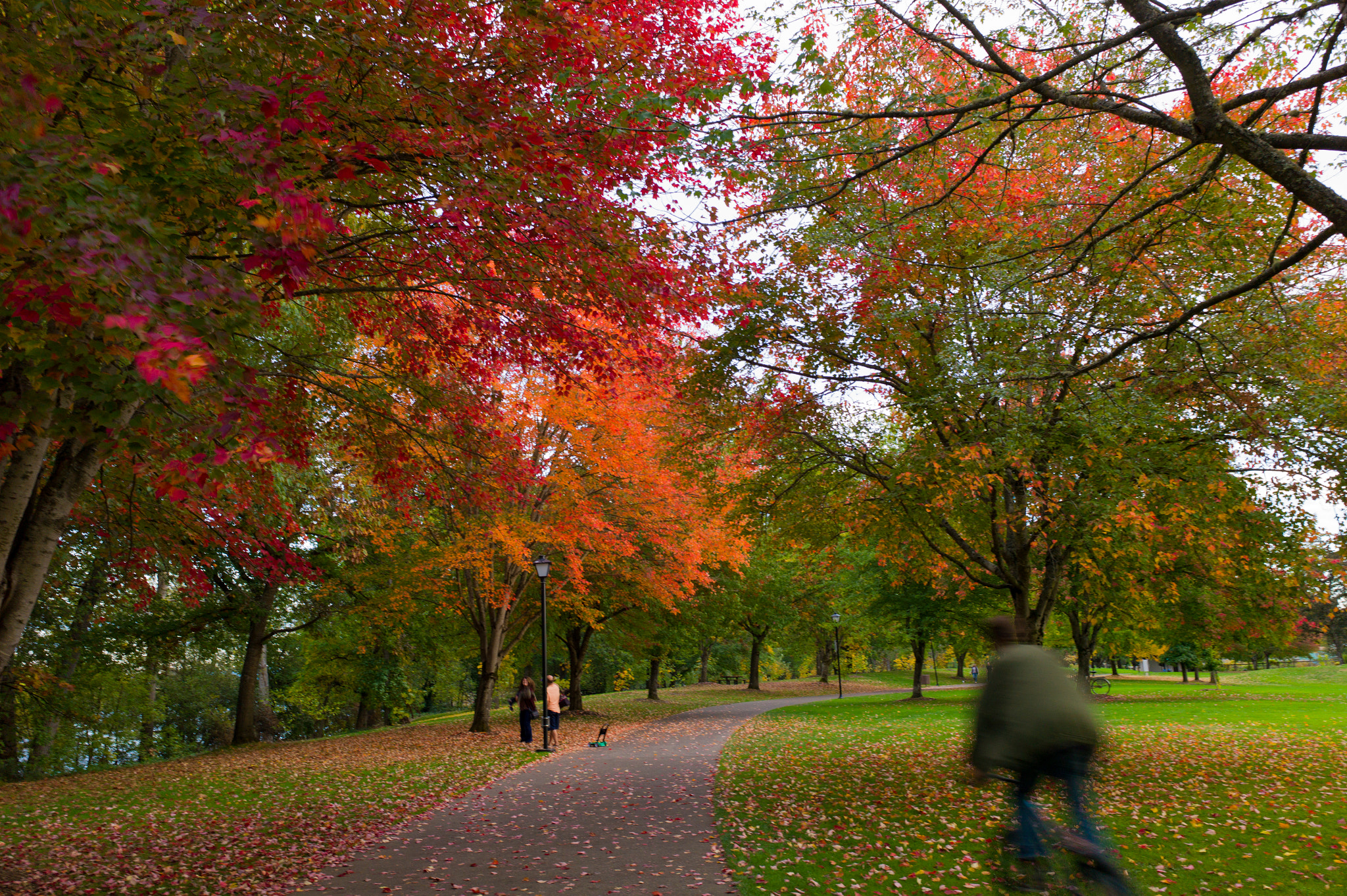 Elmarit-M 28mm f/2.8 (IV) sample photo. Eugene, or photography