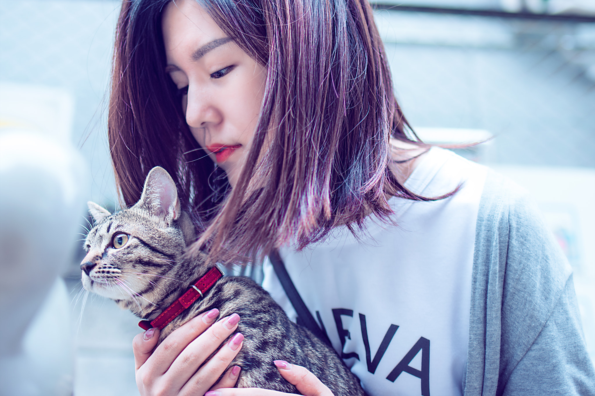 Nikon D7200 + Tamron SP 35mm F1.8 Di VC USD sample photo. 幸せ photography