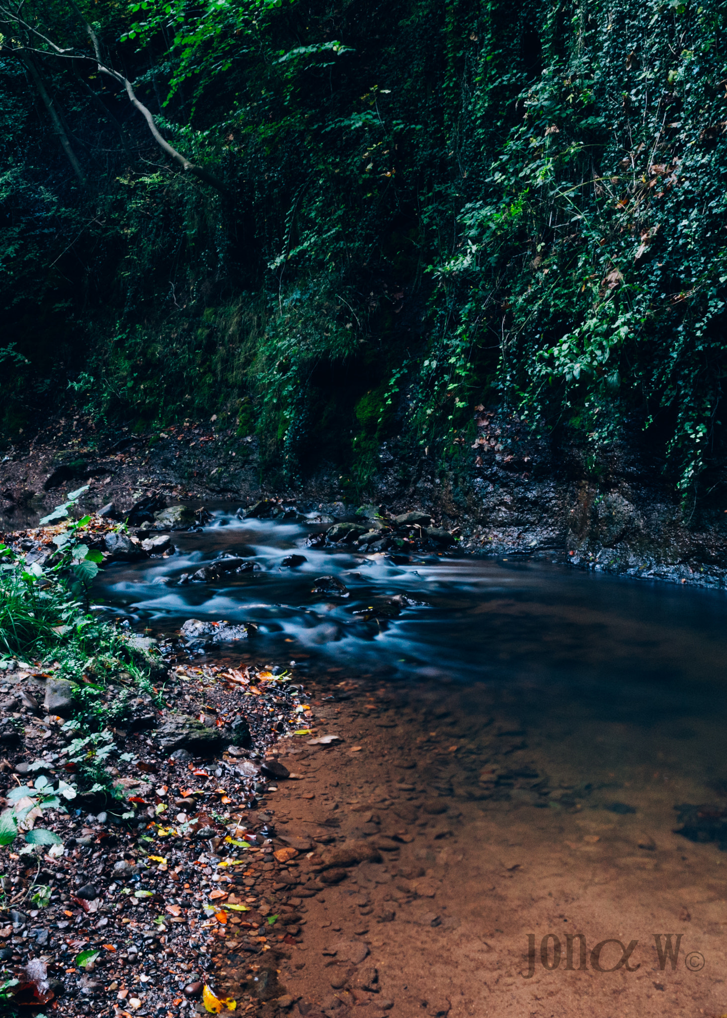 Sony a7R + ZEISS Touit 12mm F2.8 sample photo. Saltburn woods photography