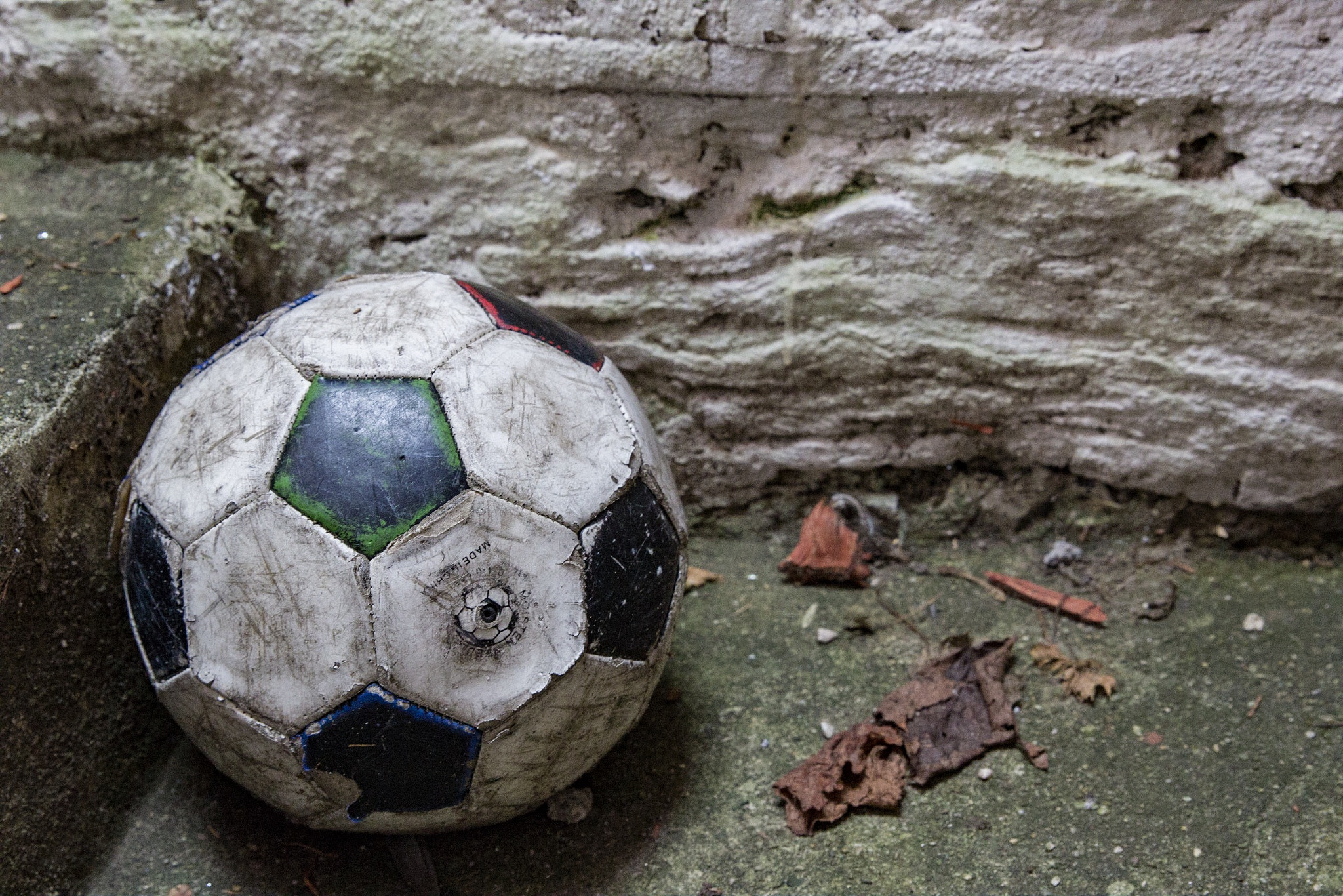 Canon EF 24-70mm F2.8L II USM sample photo. Bronx ny photography