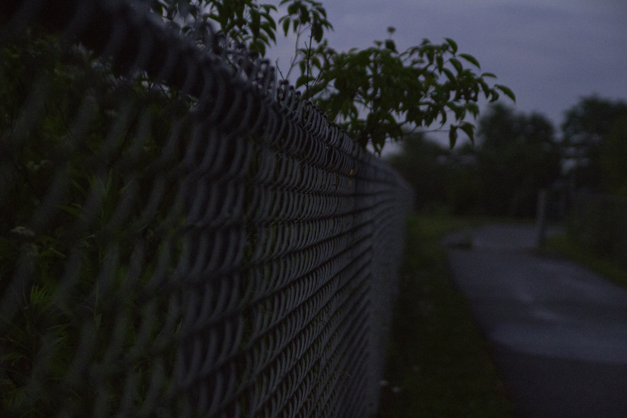 Sigma 18-50mm f/2.8 Macro sample photo. 25.jpg photography