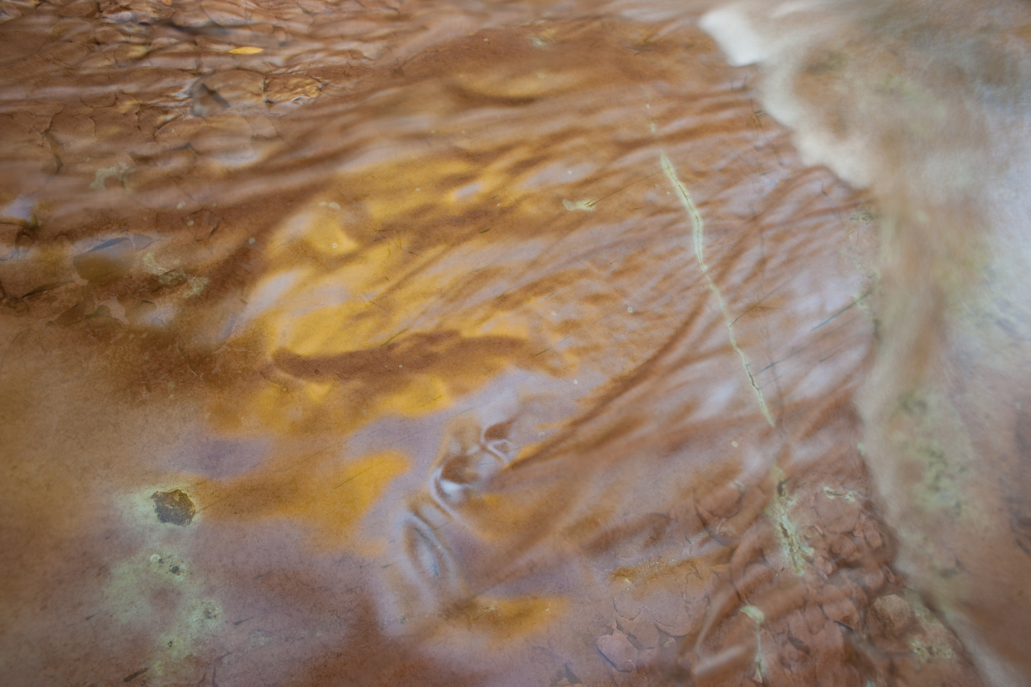 Sony Alpha DSLR-A900 + Sony 20mm F2.8 sample photo. Indian river detail photography