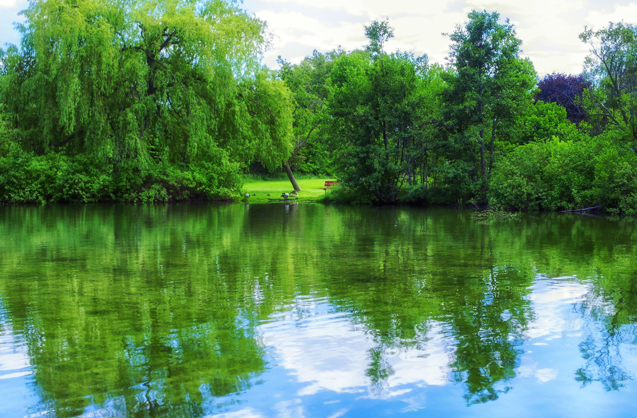 Fujifilm XC 16-50mm F3.5-5.6 OIS sample photo. J.c. saddington park photography
