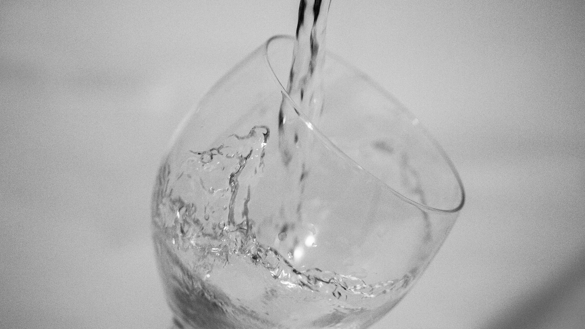 Canon EF-S 60mm F2.8 Macro USM sample photo. . photography