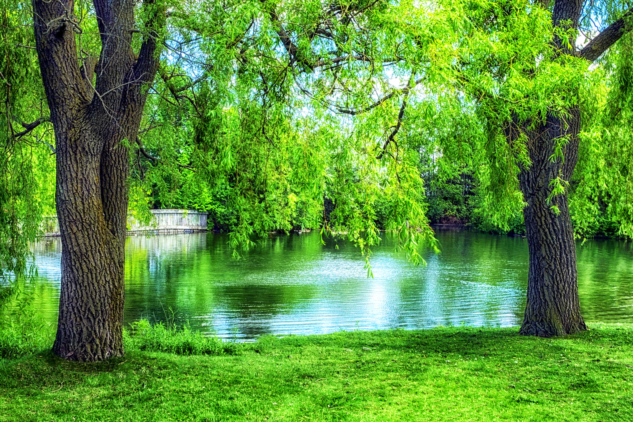 Fujifilm XC 16-50mm F3.5-5.6 OIS sample photo. J.c. saddington park photography