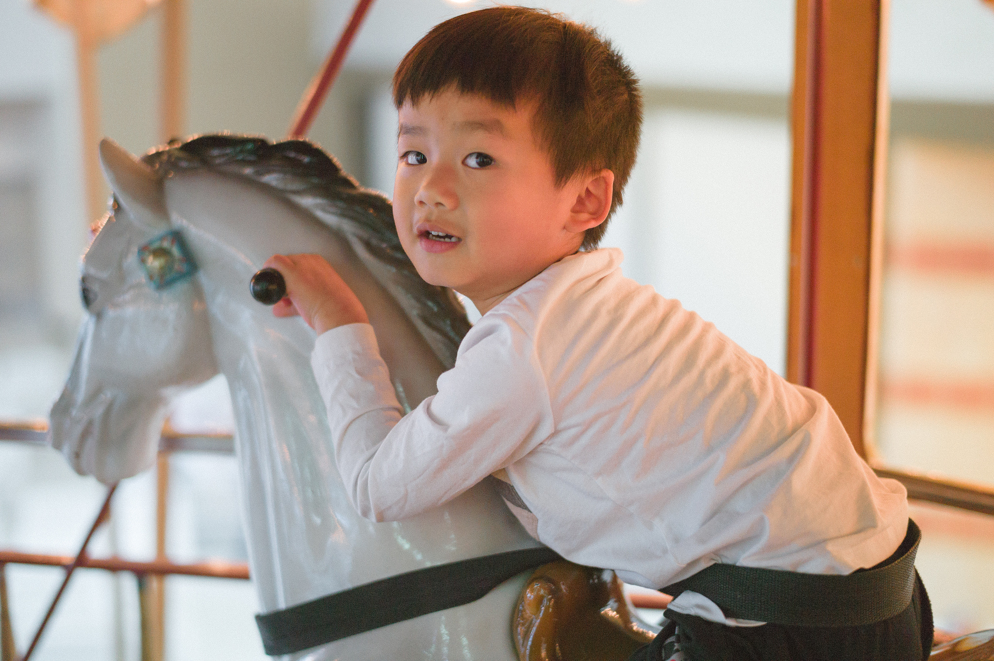 Leica M9 + Leica Summilux-M 50mm F1.4 ASPH sample photo. Carousel photography