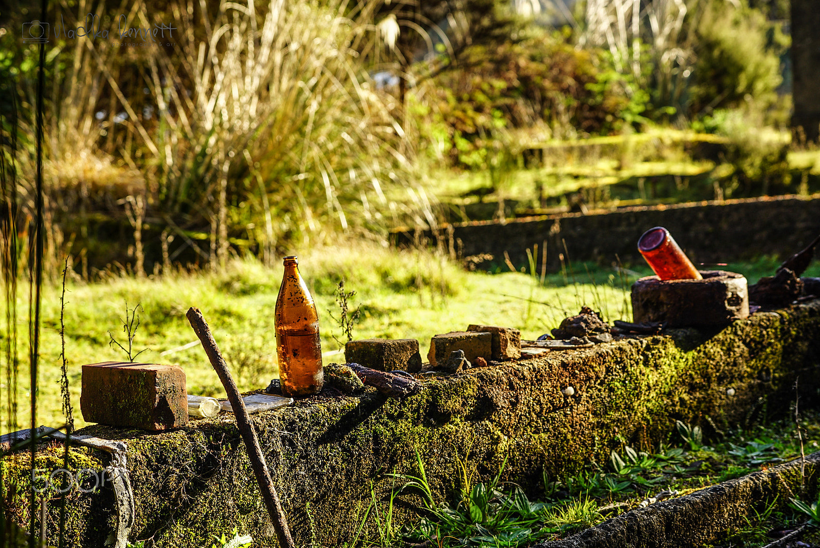 Sony a7S + Sony FE 70-200mm F4 G OSS sample photo. Dsc photography