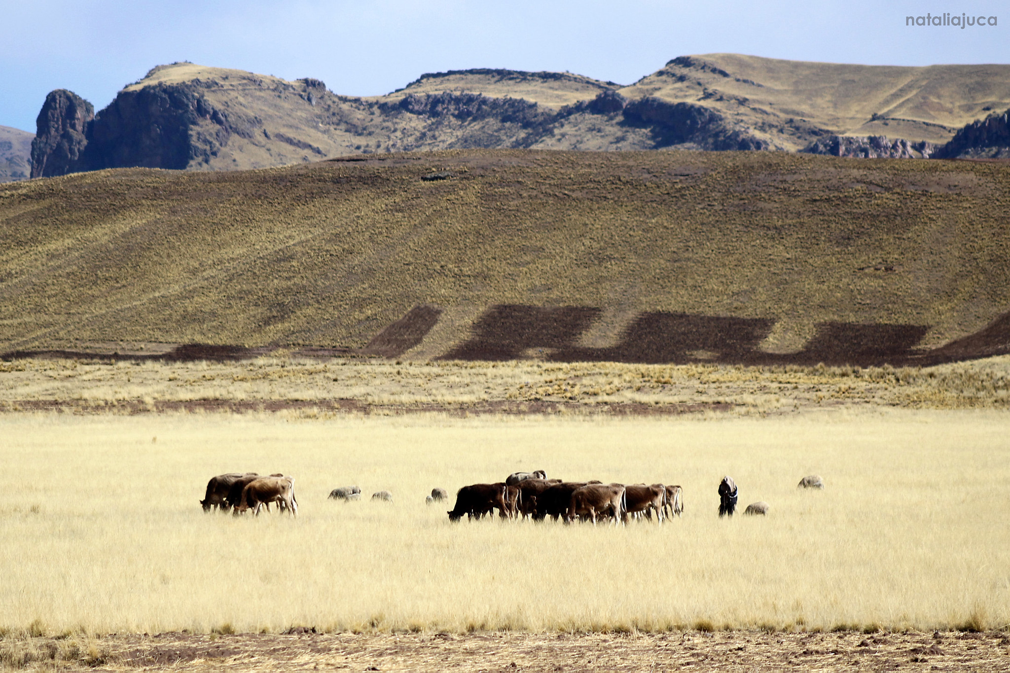 Canon EOS 100D (EOS Rebel SL1 / EOS Kiss X7) + EF75-300mm f/4-5.6 sample photo. Magical andes photography