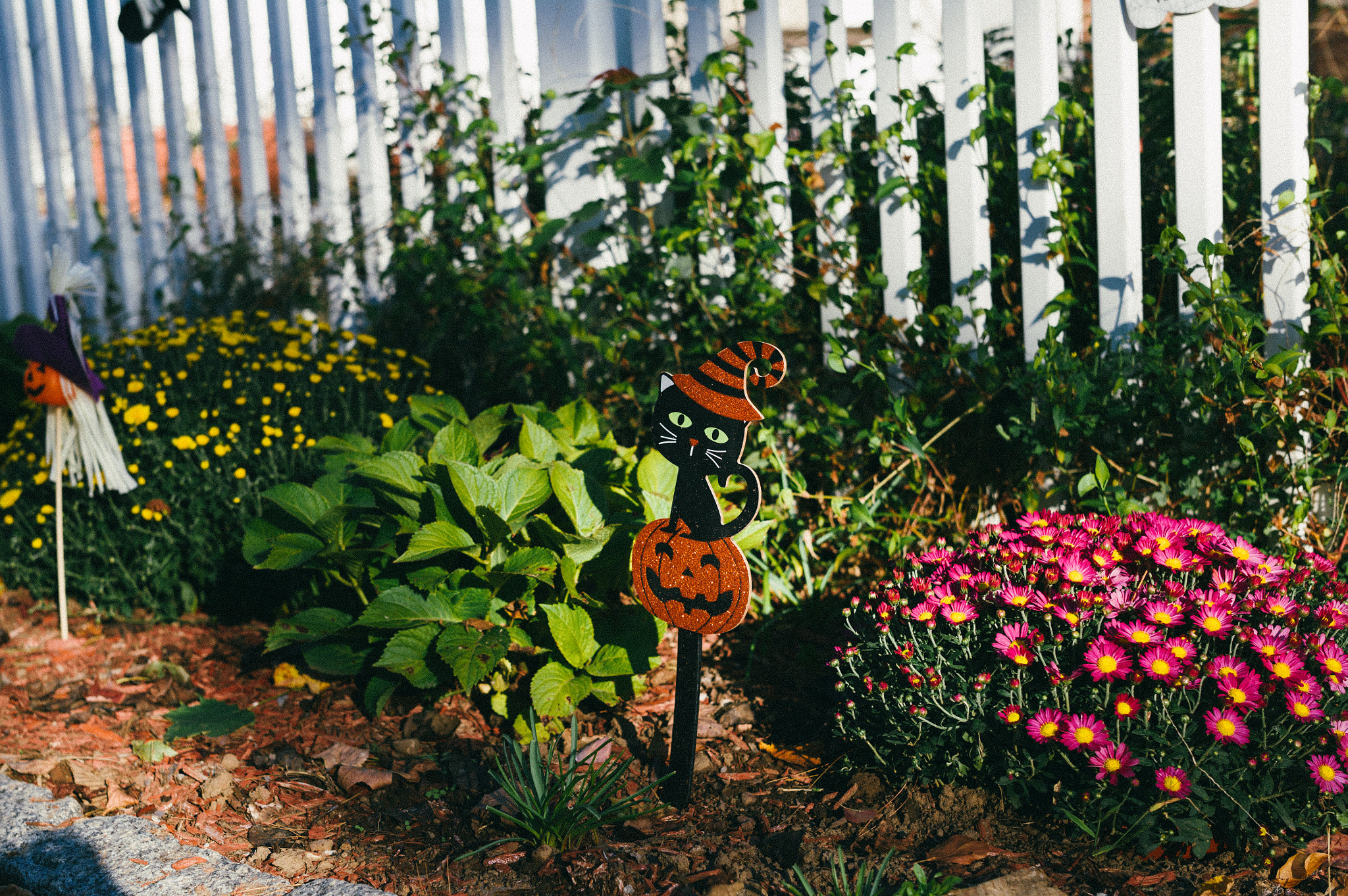 Leica M9 + Leica Summilux-M 50mm F1.4 ASPH sample photo. L photography