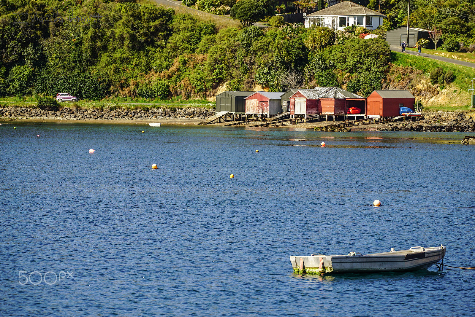 Sony FE 70-200mm F4 G OSS sample photo. Dsc photography