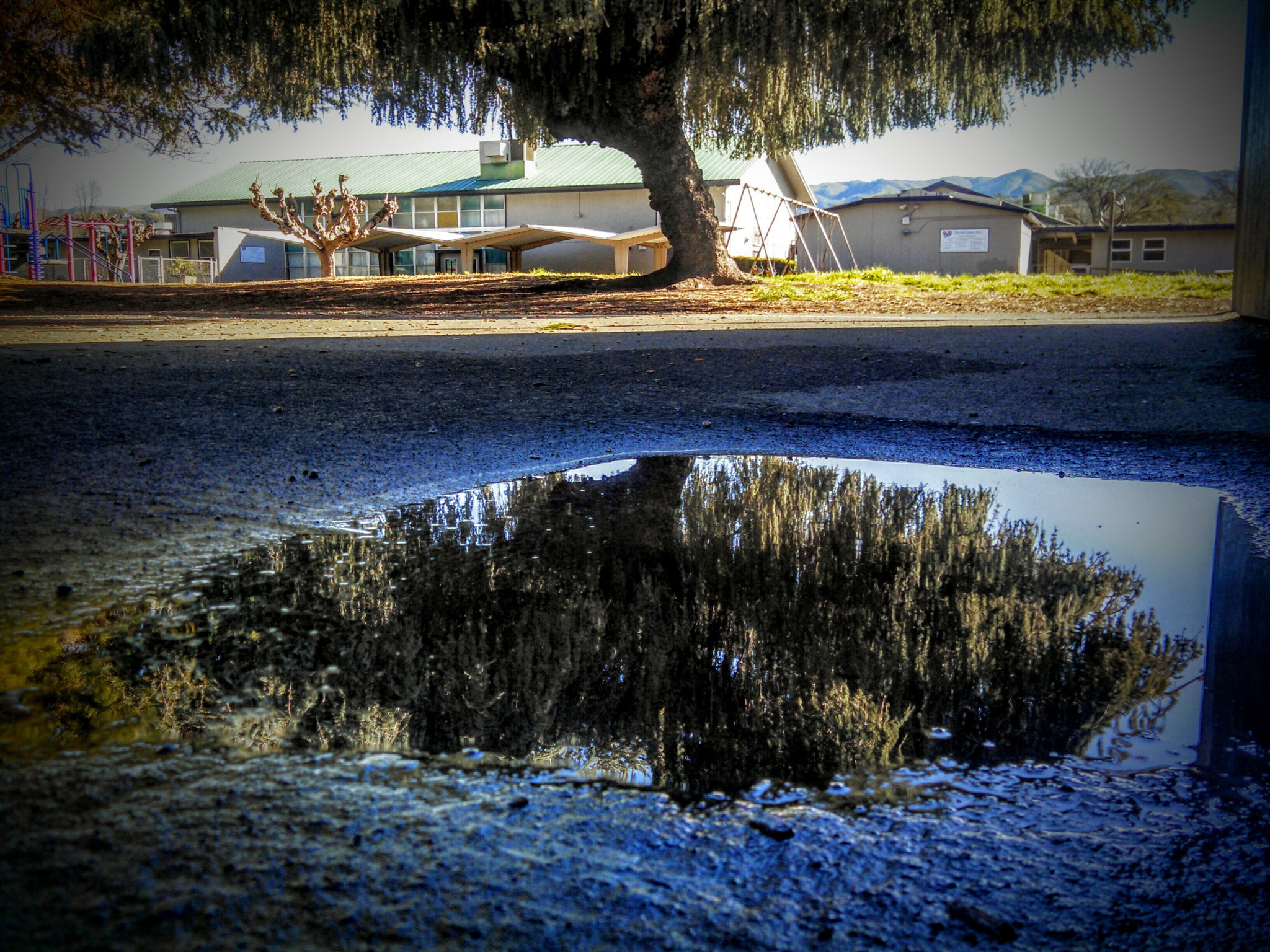 Motorola Electrify M sample photo. Tree reflection in rain puddle-school playground photography