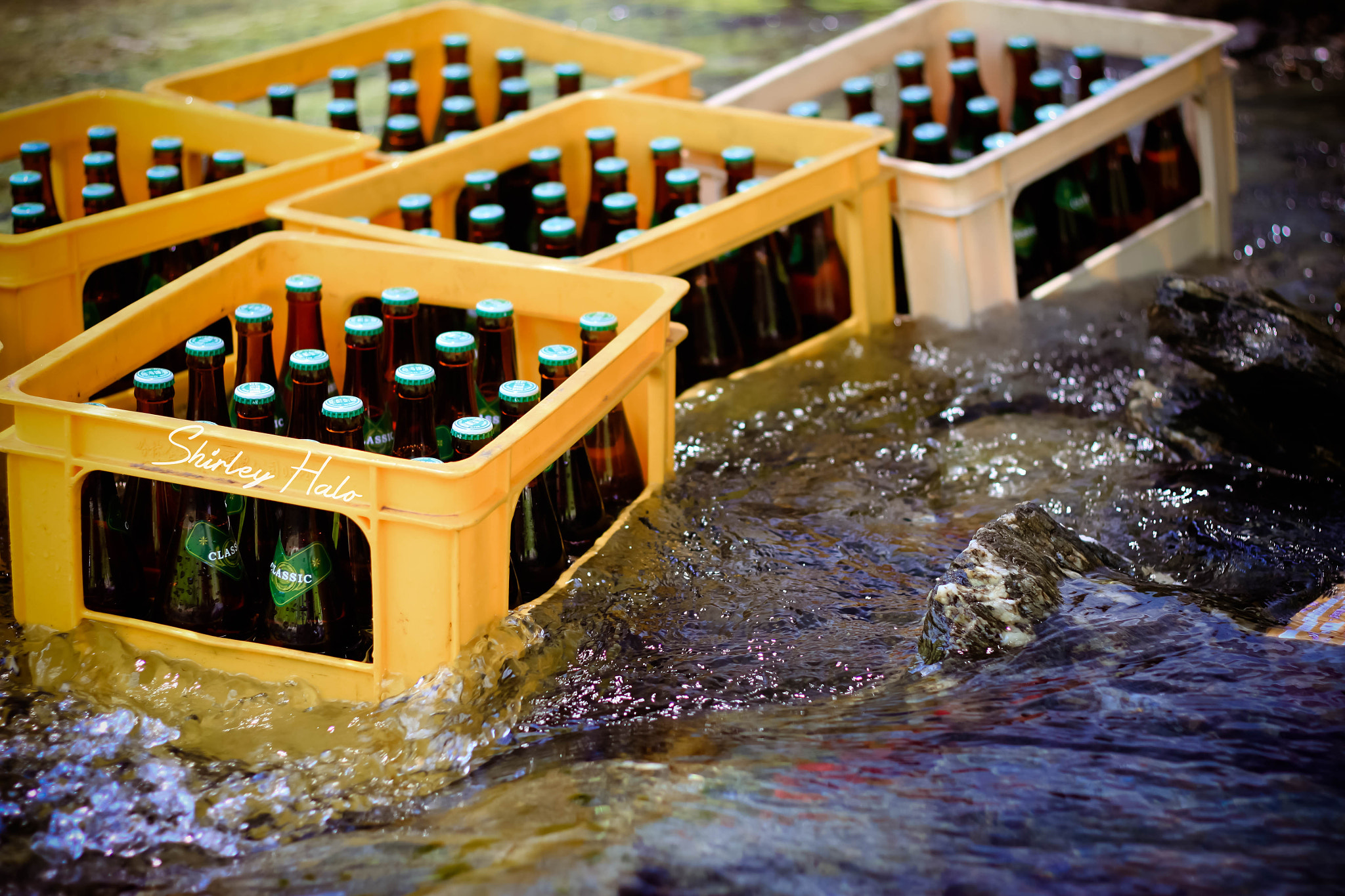 Canon EOS 500D (EOS Rebel T1i / EOS Kiss X3) sample photo. Beer in river photography