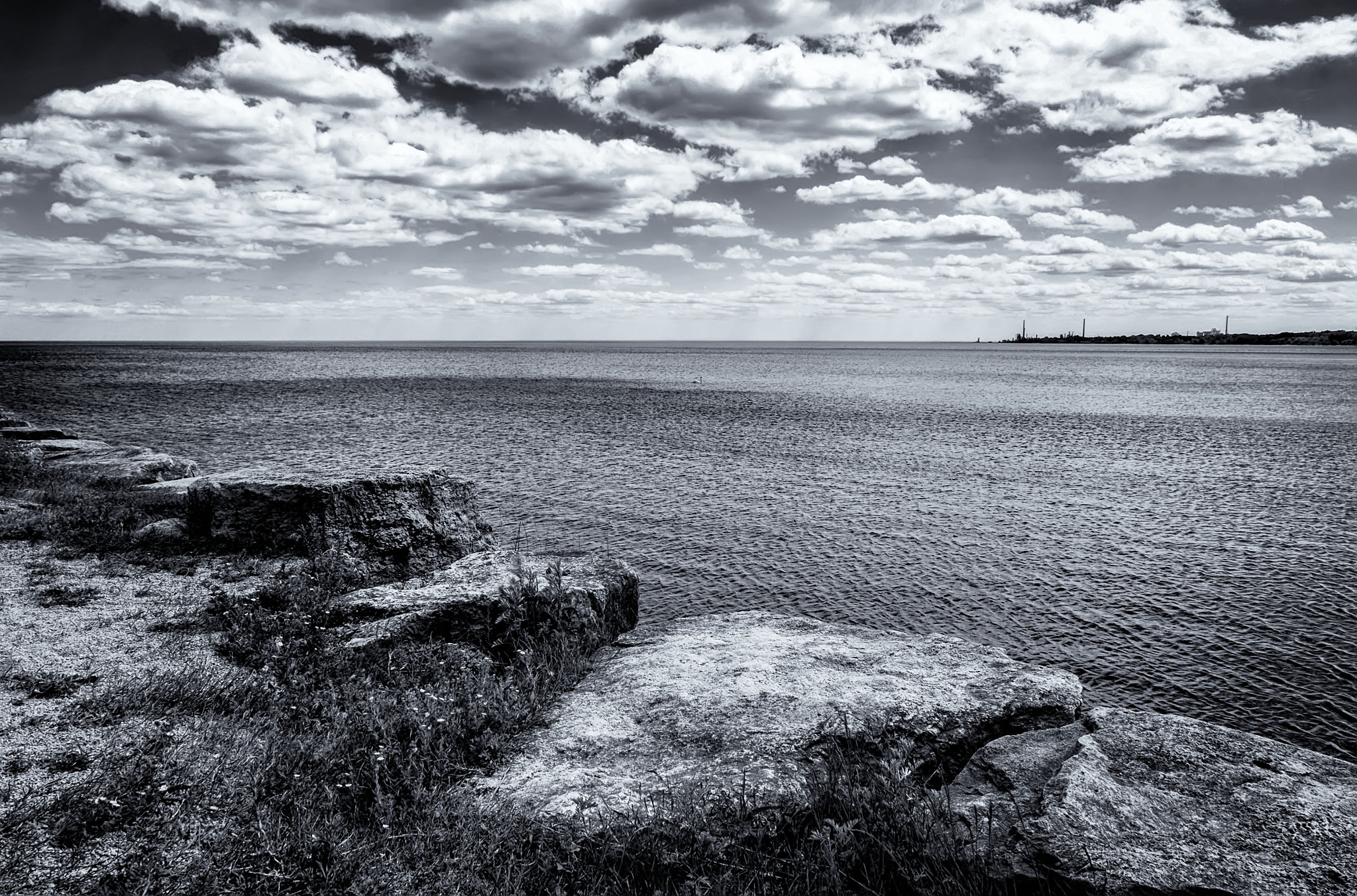 Fujifilm XC 16-50mm F3.5-5.6 OIS sample photo. J.c. saddington park photography