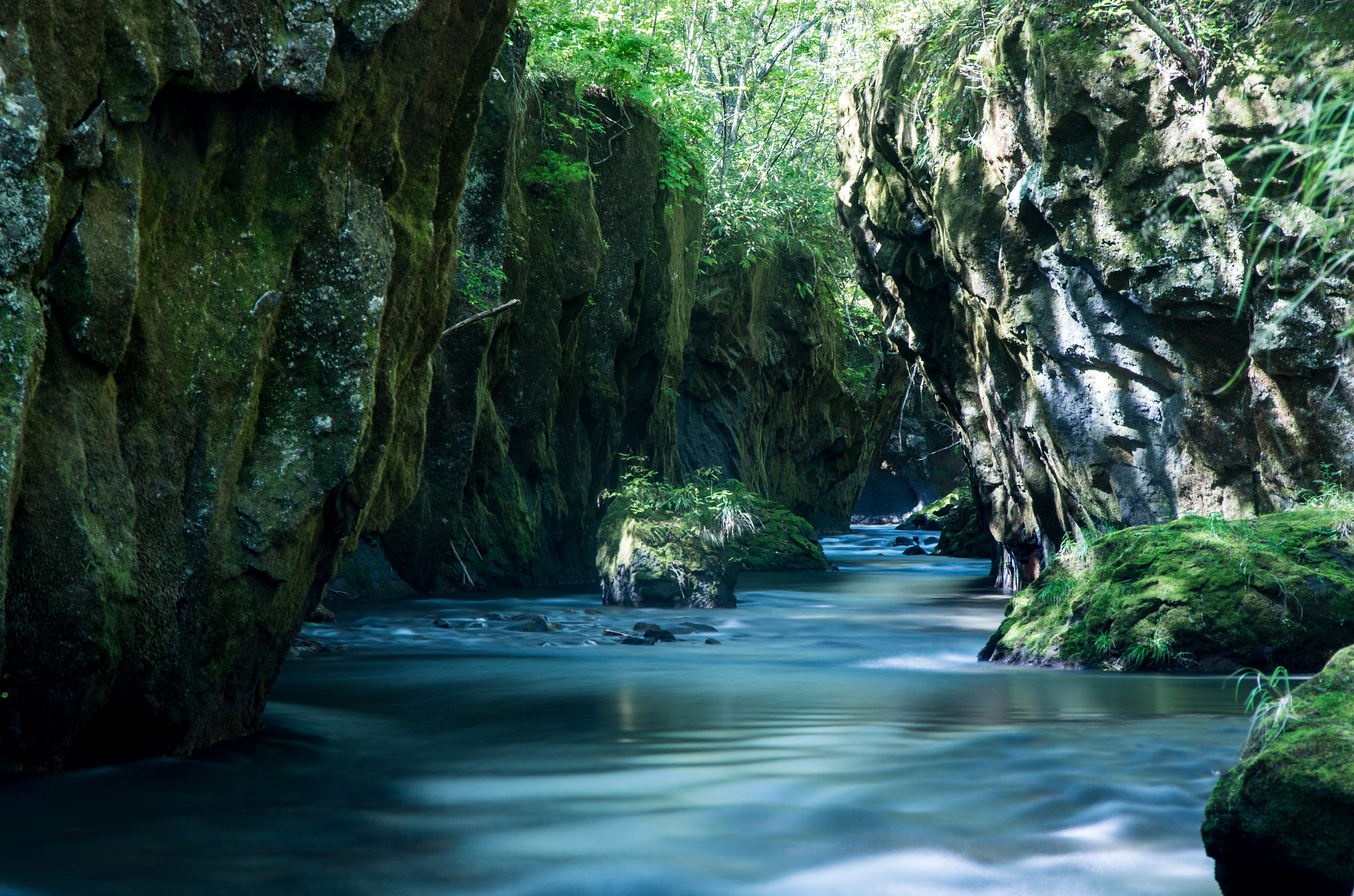 Pentax K-5 II sample photo. Tarumaegaro photography