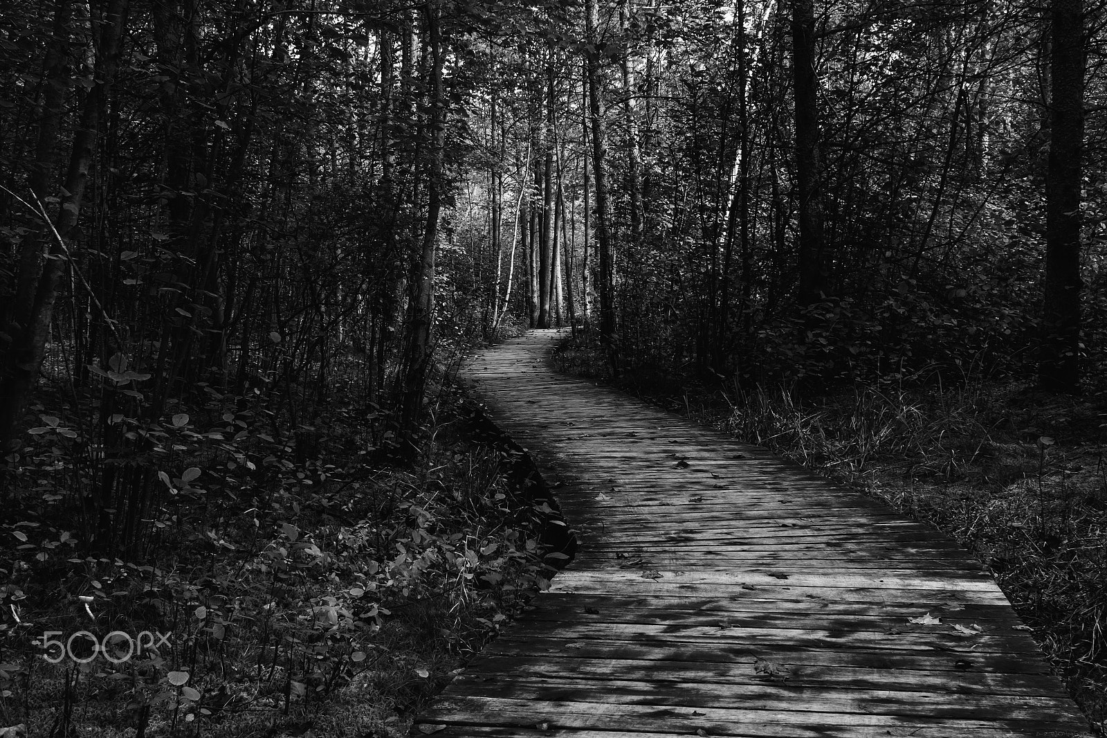 Canon EF 24mm f/1.4L sample photo. Long walk photography