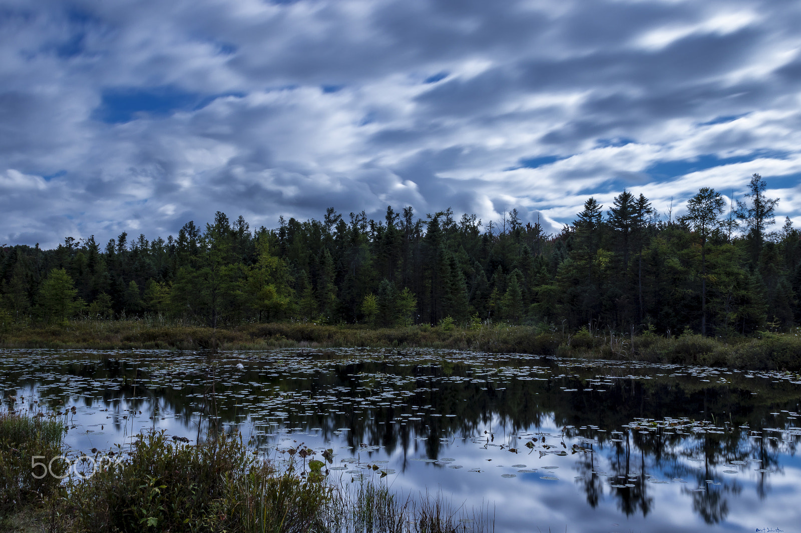 Canon EF 24mm f/1.4L sample photo. Reflecting pond photography