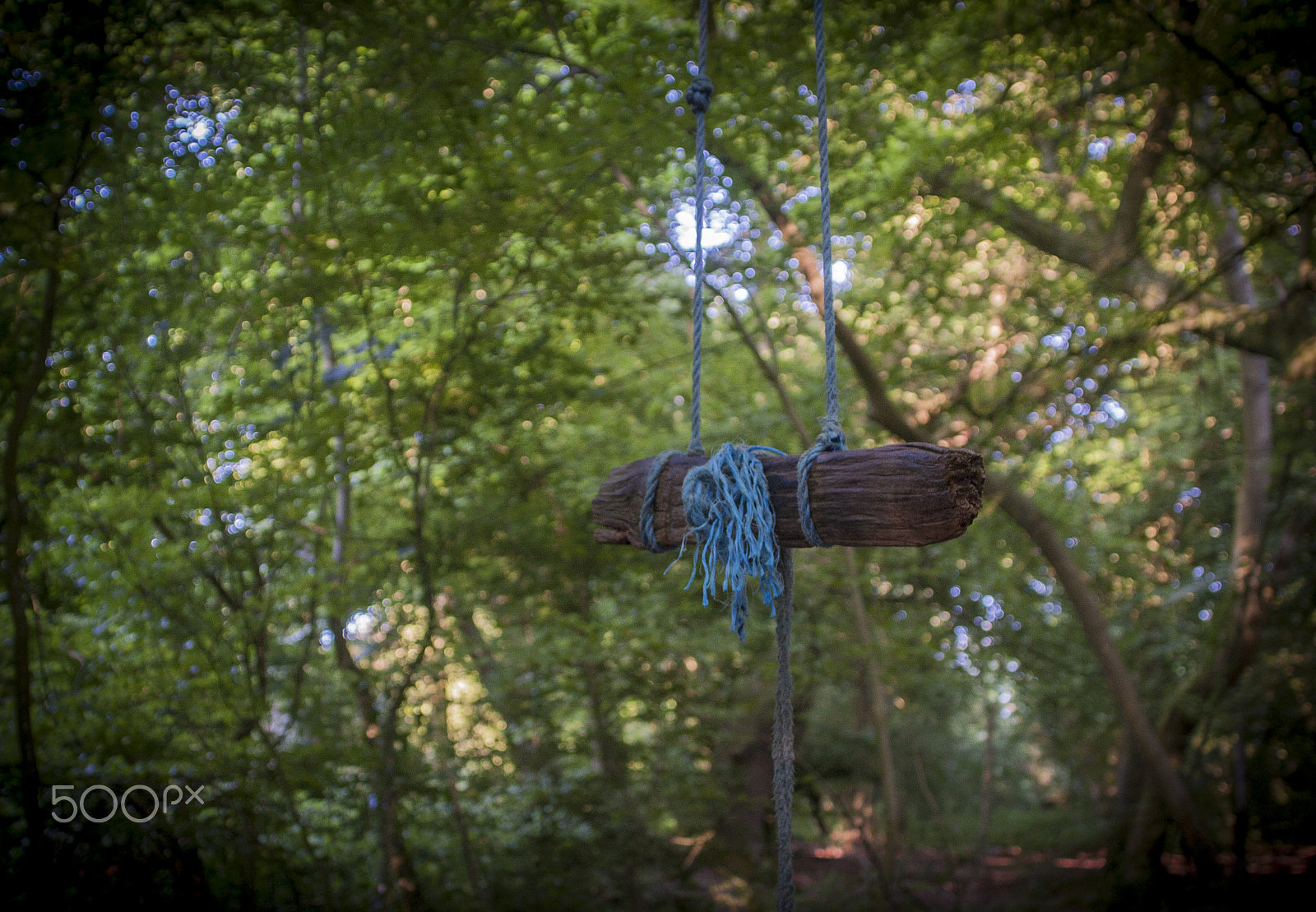 Canon EOS 40D sample photo. Rope swing photography