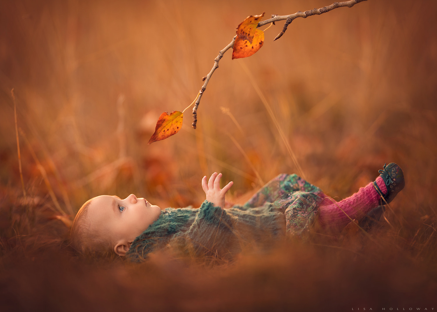 Canon EF 200mm F2L IS USM sample photo. Autumn's dance photography